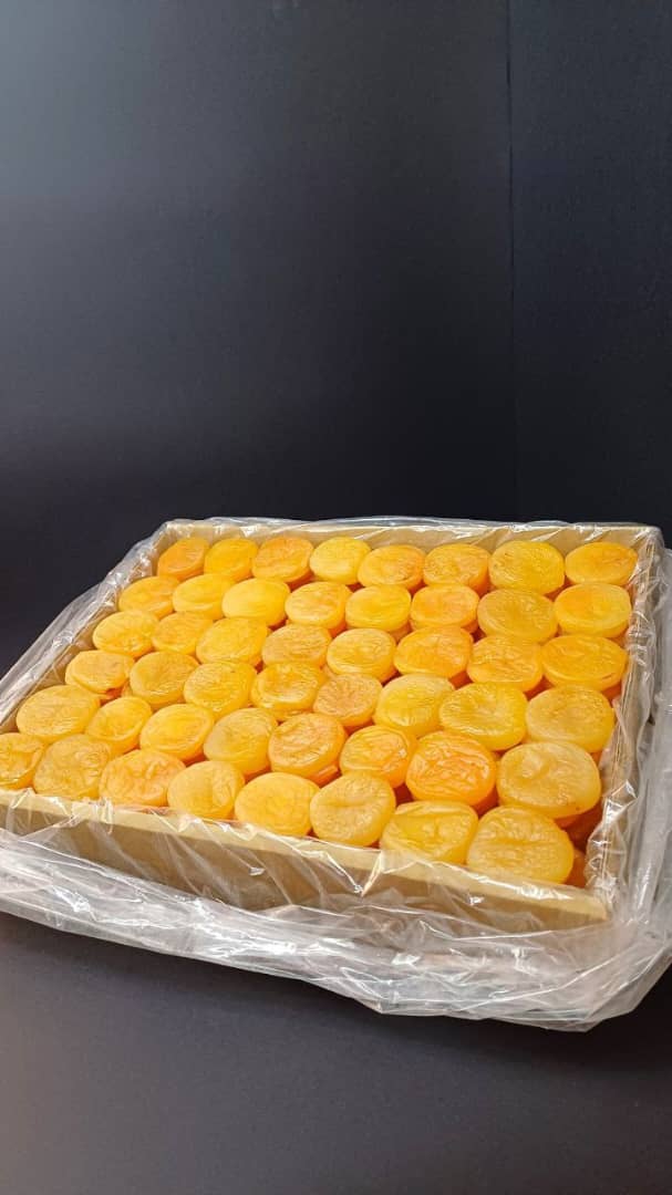 قیسی جانبو صادراتی خرید