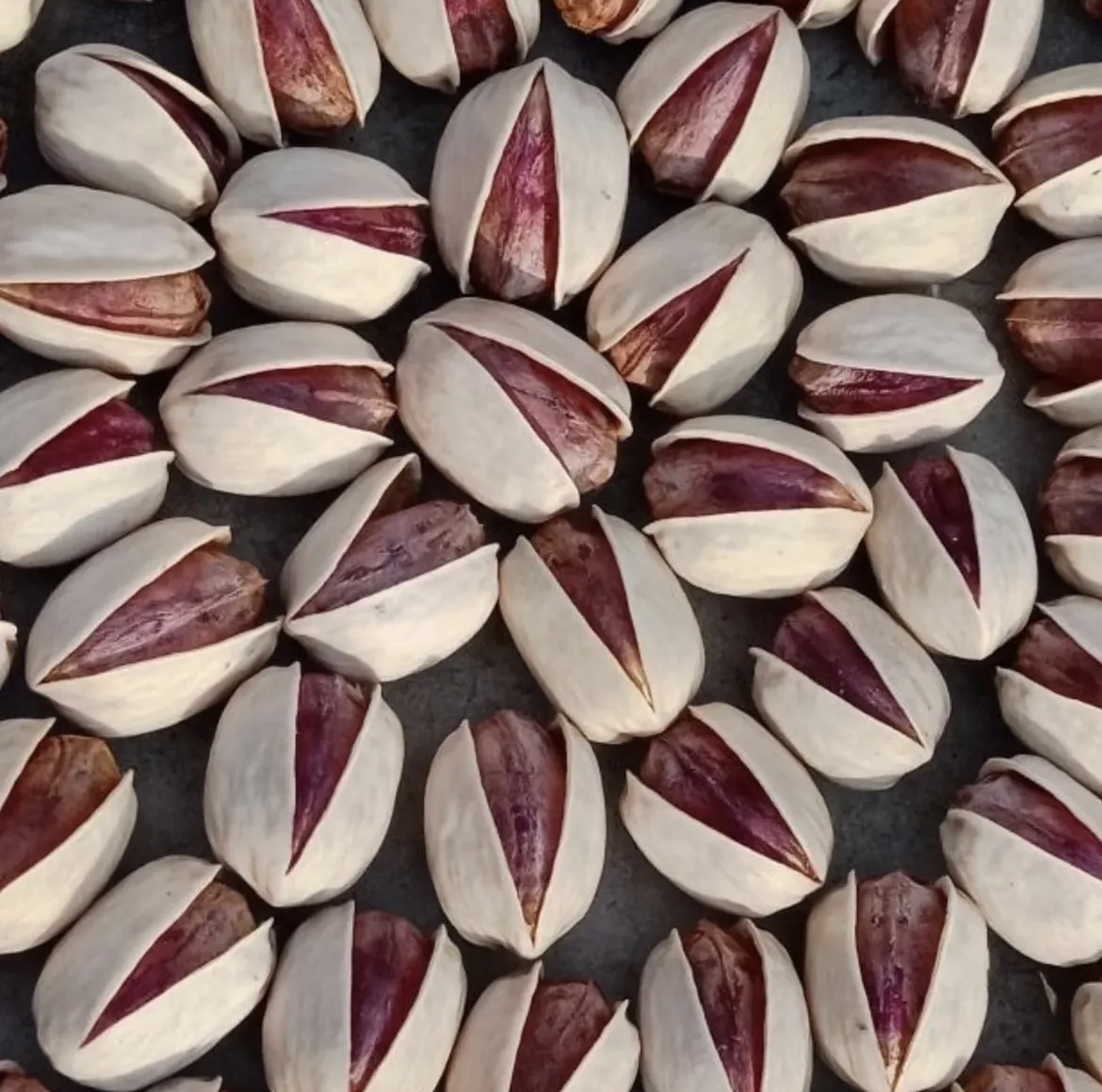پسته آب خندان کله قوچی انس ۲۴
