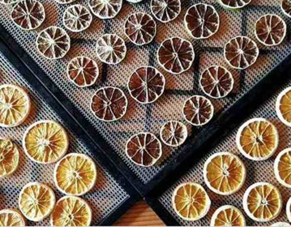 فروش پرتقال خشک حلقه‌ ای صادراتی با قیمت رقابتی