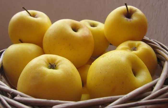 خرید مستقیم سیب زرد از باغدار ارومیه سوپر لوکس + فروش عمده