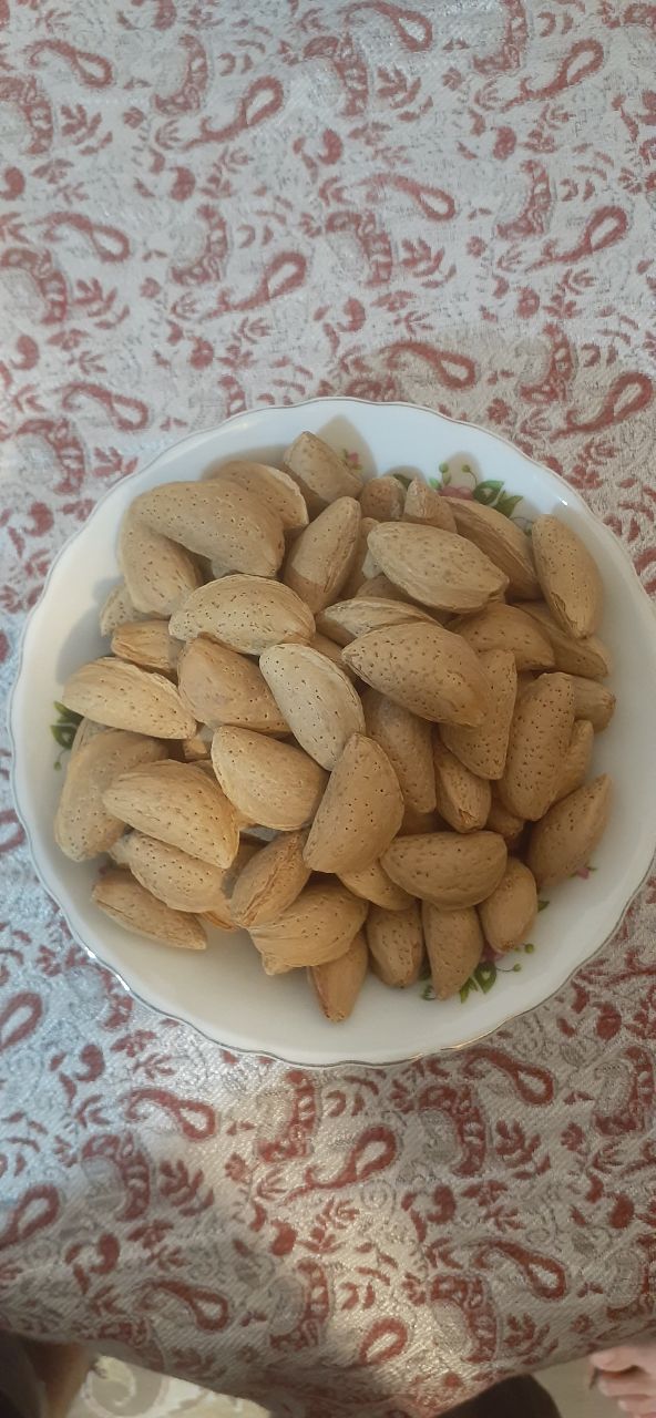 بادام مامایی شهر خشکرود گرید ۱۰۰ دون