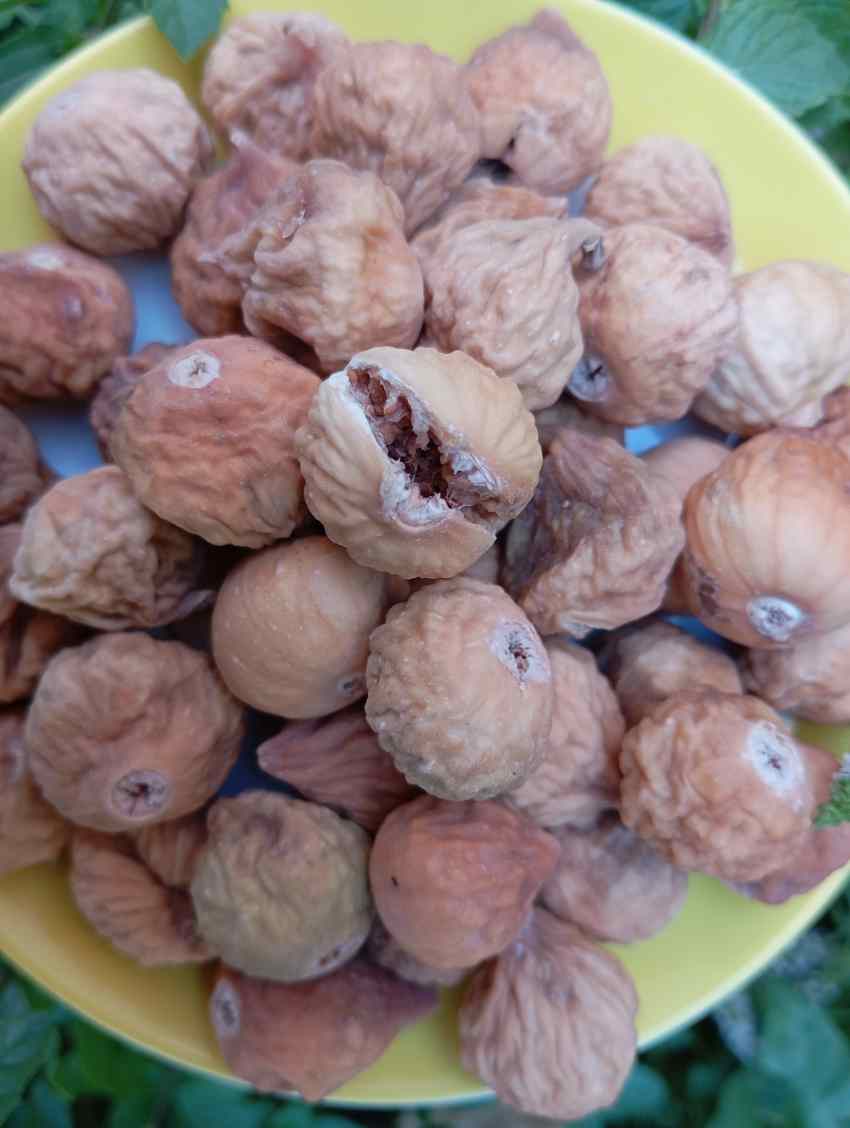 انجیر خشک استهبان لاکی
