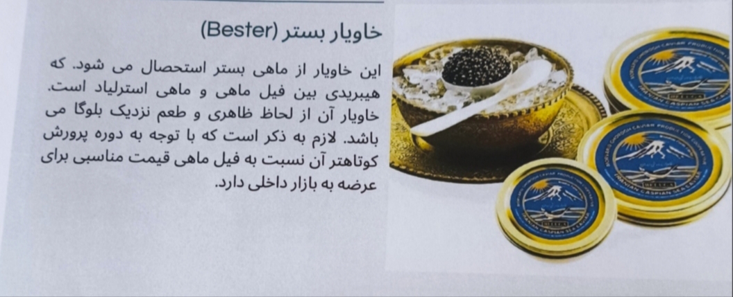 خاویاربسترBester