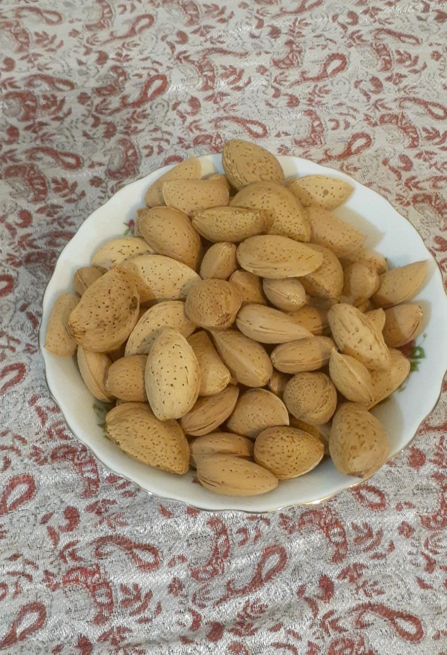 بادام سنگی شهر خشکرود