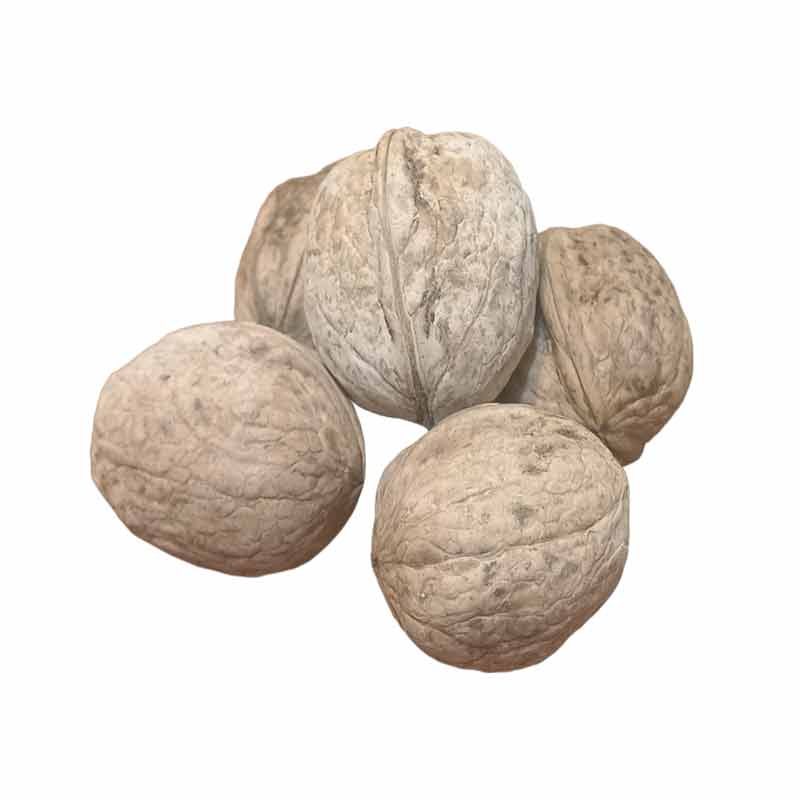 قیمت گردو مرند آذربایجان شرقی
