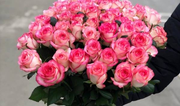 قیمت ارزان گل سرشاخه رز