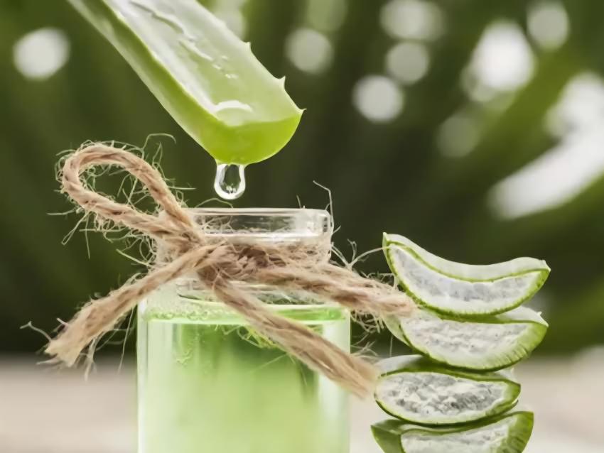 ژل آلوئه ورا مرغوب + قیمت خرید باور نکردنی