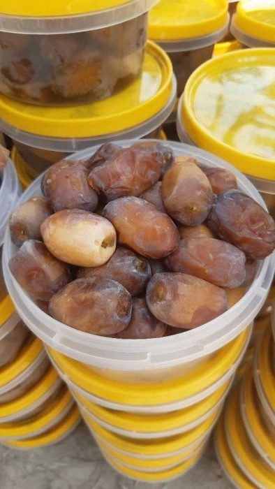 قیمت خرید رطب کبکاب عسلی از دل نخلستان های گرم بوشهر تا سفره شما