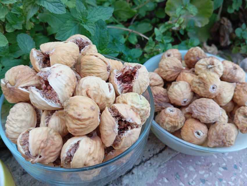 انجیر خشک صد یک مرغوب صادراتی + قیمت‌ ویژه