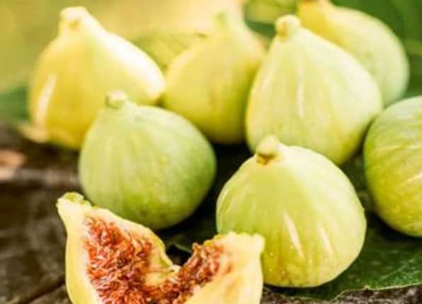 انجیر تر و تازه درجه یک زرد + قیمت باور نکردنی