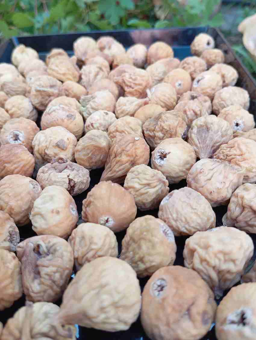 قیمت انجیر خشک محلی + عمده