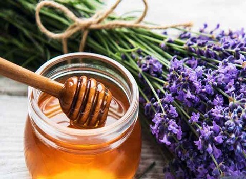 فروش عمده عسل ناب اردبیل