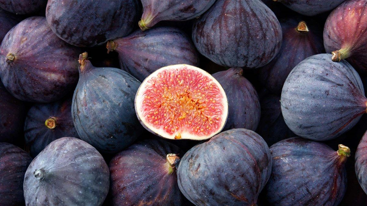 خرید انجیر سیاه زیودار + قیمت فروش استثنایی