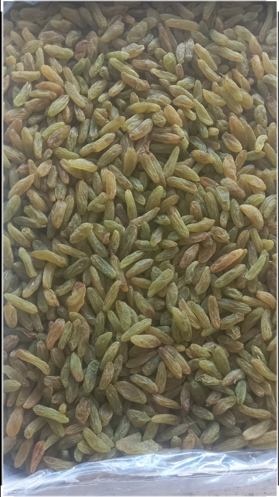 کشمش سبز تاکستان