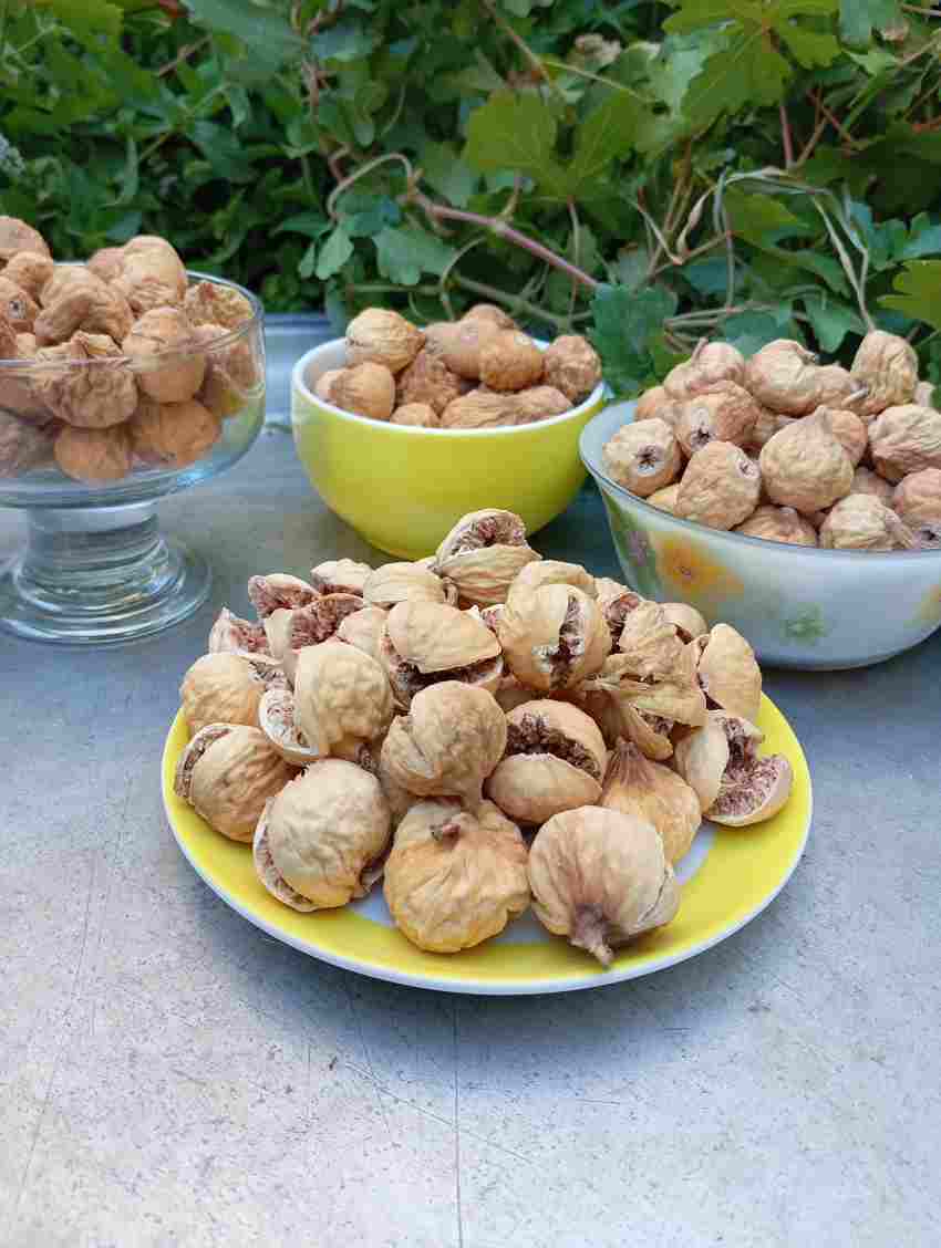 انجیر خشک شیراز قیمت