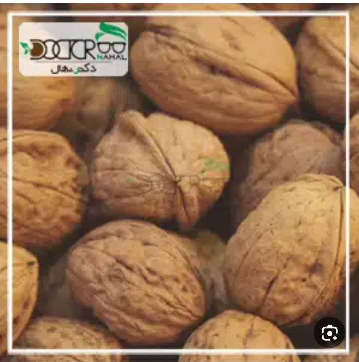 خرید گردوی تویسرکان به صورت عمده با قیمت استثنایی