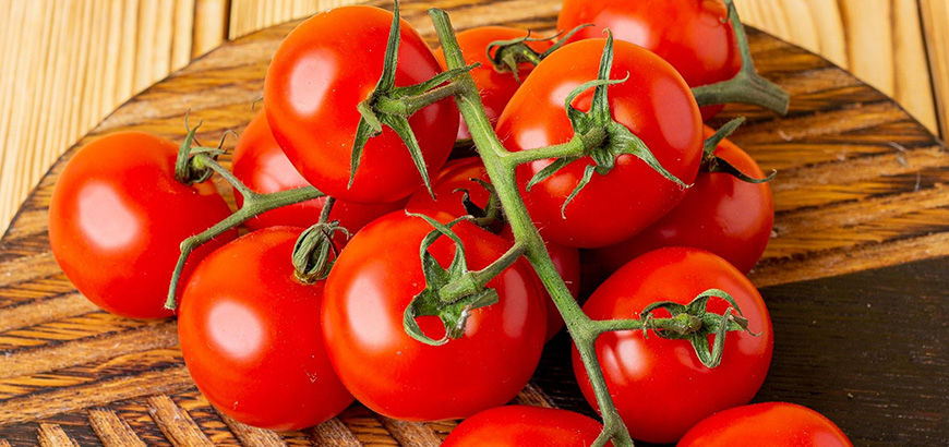 قیمت عمده گوجه گلخانه ای