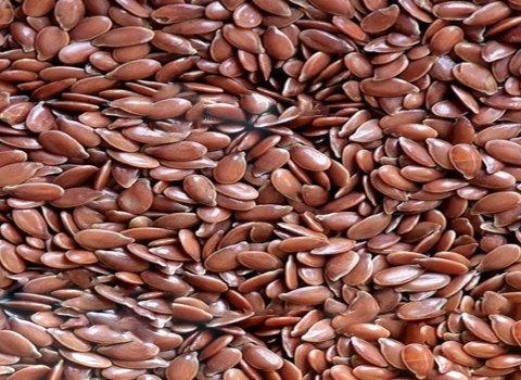 قیمت خرید تخم کتان + فروش ویژه