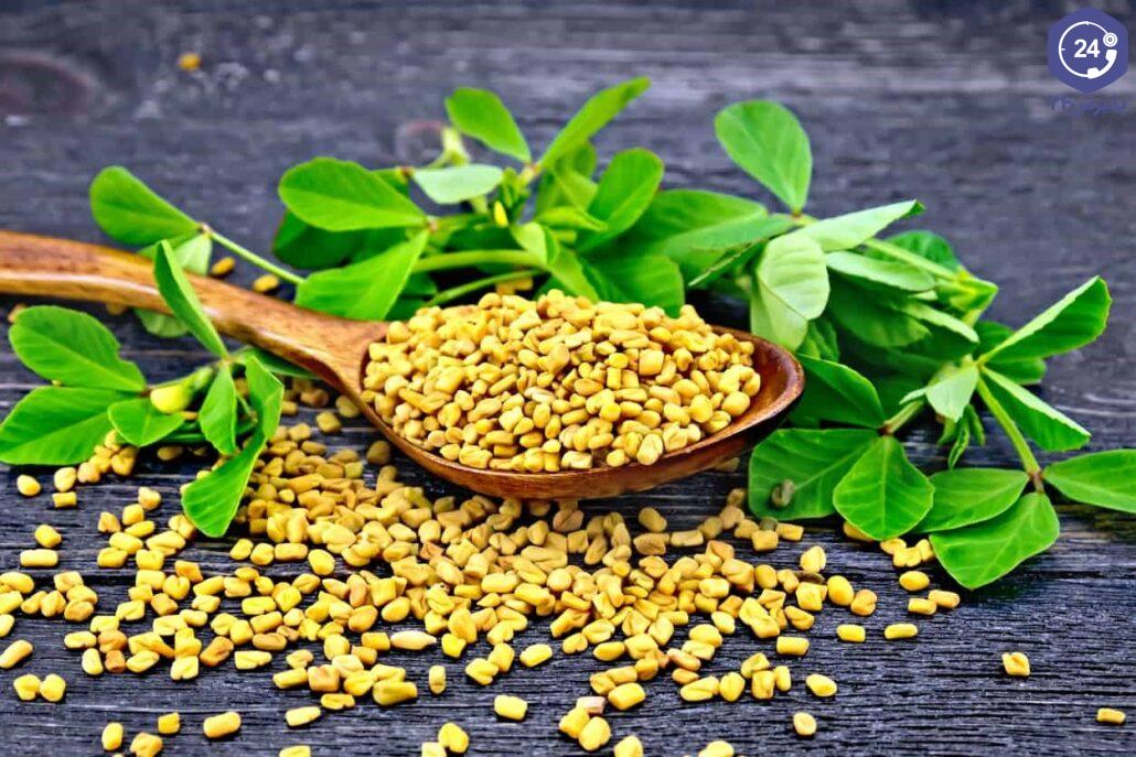 قیمت خرید عمده شنبلیله خشک فارس
