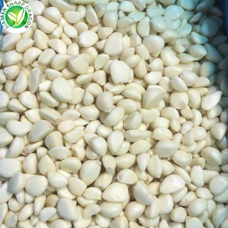 قیمت استثنایی سیر منجمد زیر سرندری