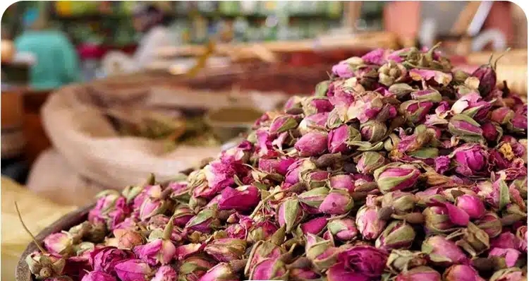 فروش غنچه و پر گل محمدی