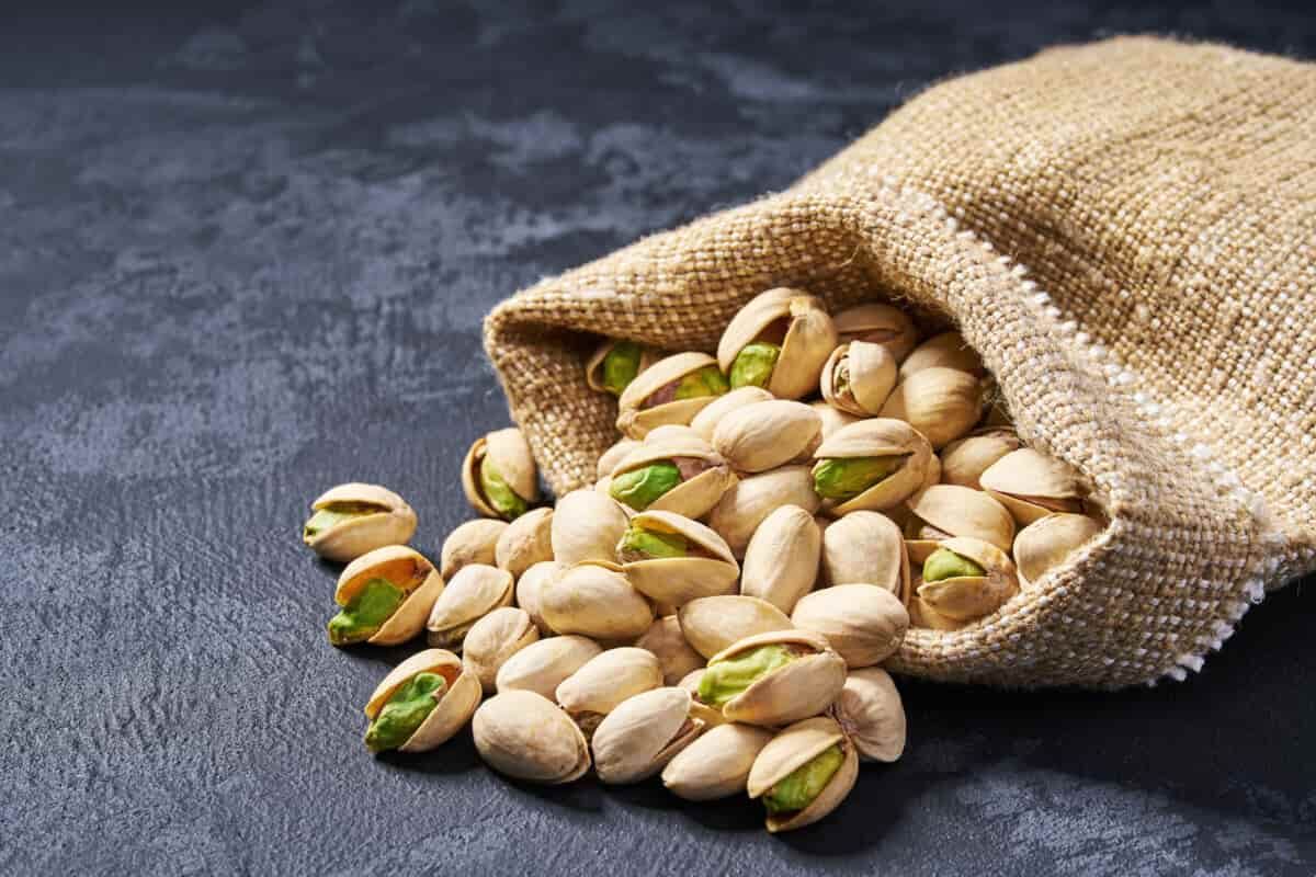 فروش پسته اکبری عمده خوش طعم