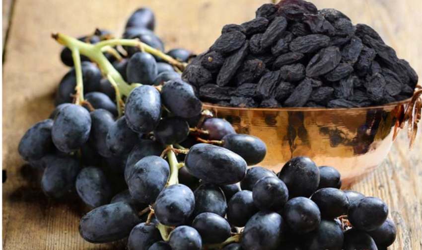 فروش عمده کشمش سیاه آذربایجان