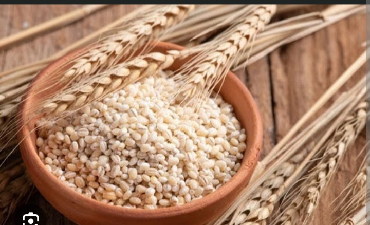 فروش بلغور جو سورتینگ شده + قیمت مناسب و به صرفه