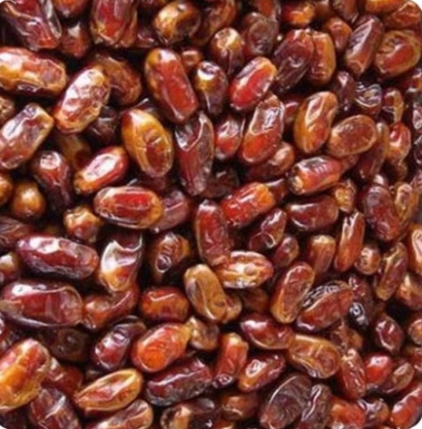 خرید خرمای شاهانی یاقوت شیراز