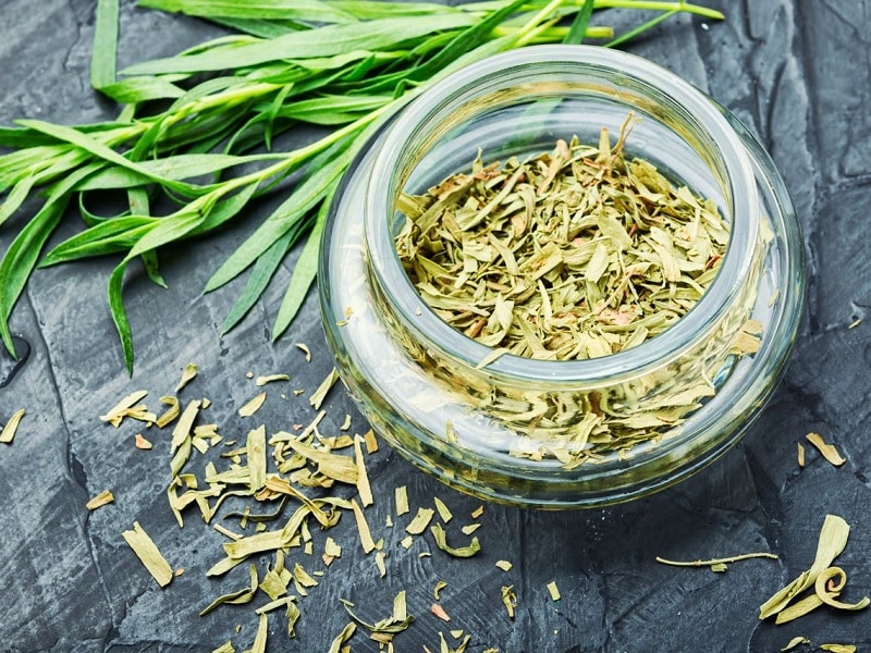 قیمت خرید سبزی ترخون خشک + فروش ویژه