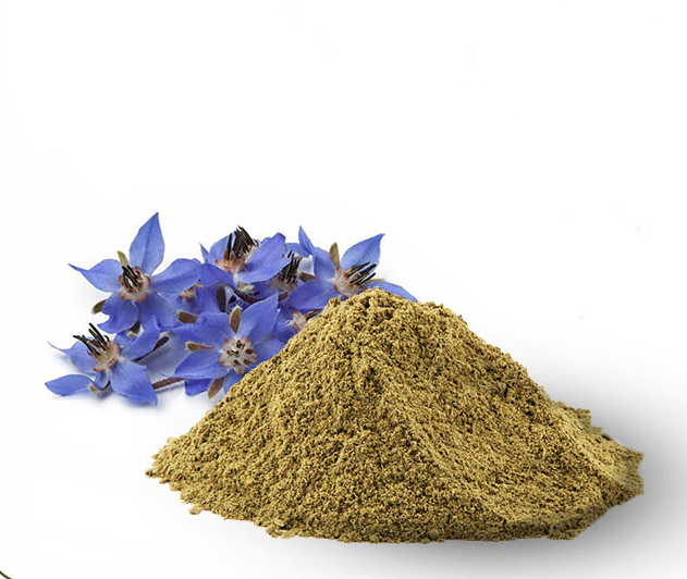 فروش عمده پودر گل گاو زبان فله + فروش صادراتی