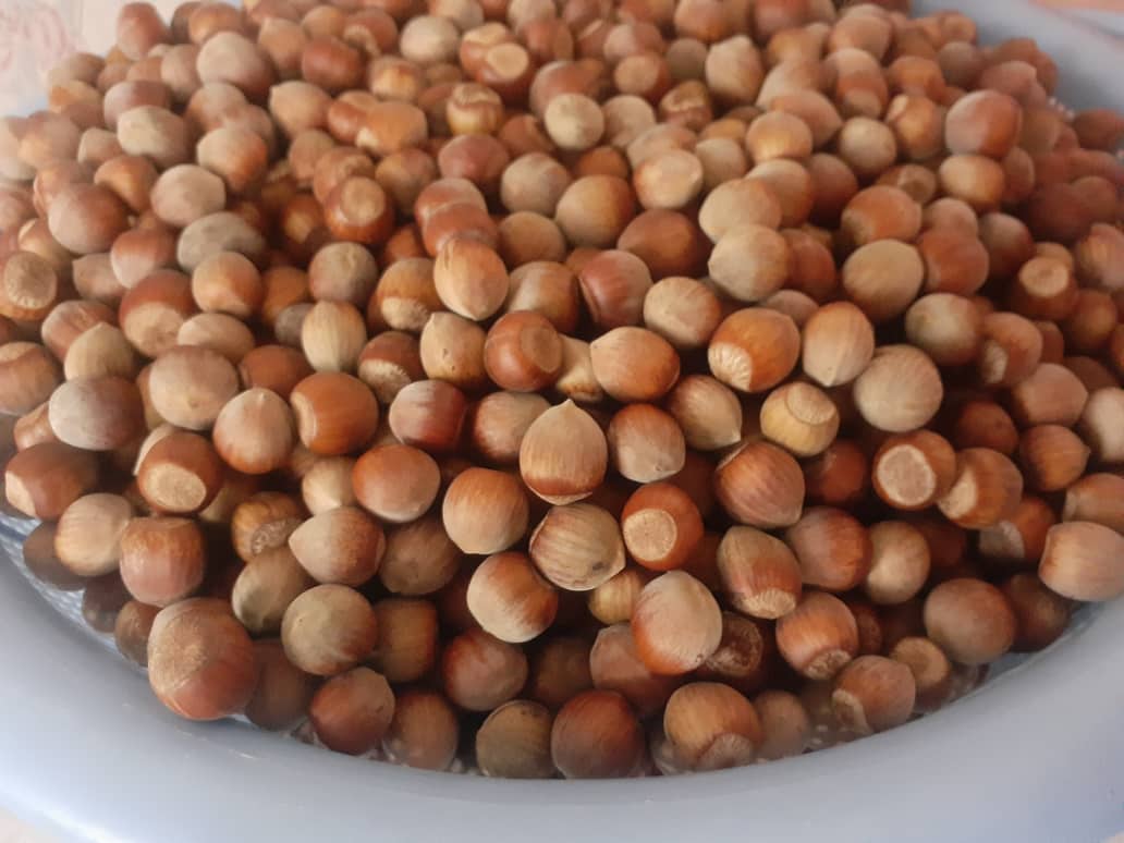 فروش فندق اصل