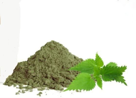 فروش عمده عصاره گزنه خشک (پودری) گرید ++A