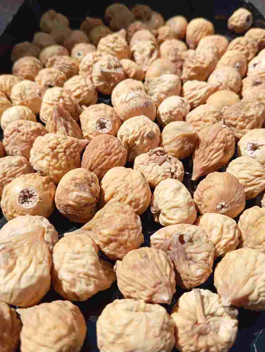 قیمت انجیر خشک بکر + خرید فوق العاده
