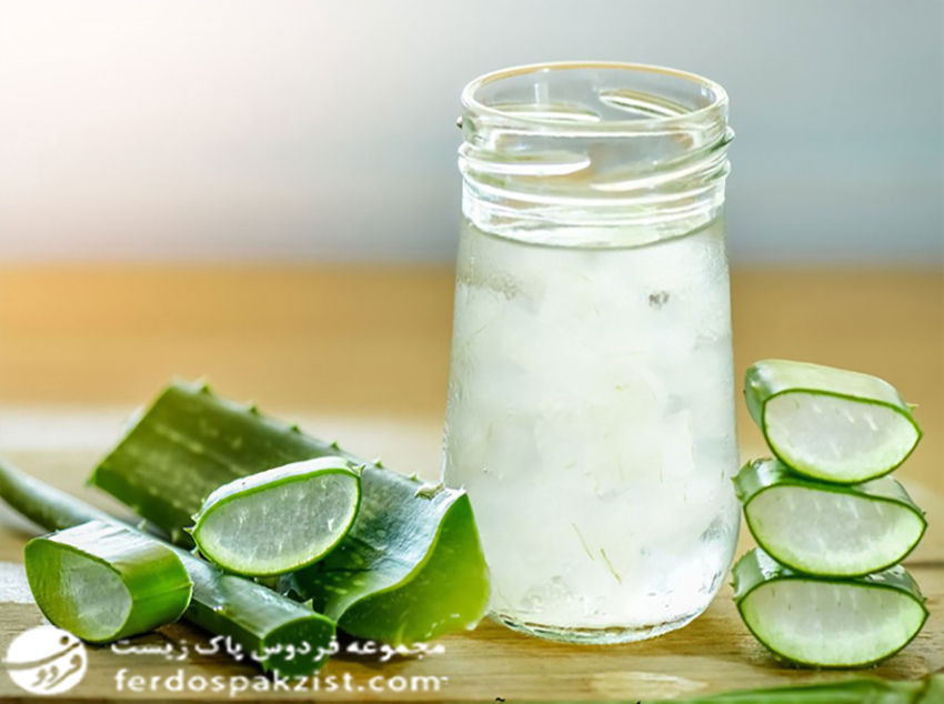 خرید نوشیدنی آلوئه‌ورا و کاسنی با تخفیف ویژه تابستانی