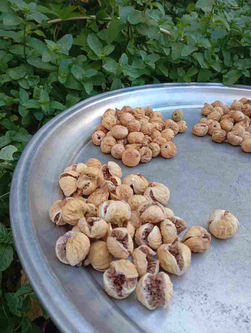انجیر خشک مرغوب پرک + قیمت ویژه