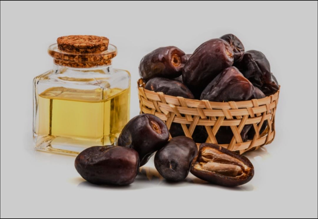 خرید اینترنتی روغن هسته خرما برای صادرات به قیمت کارخانه