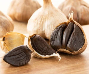 سیر سیاه شمال
