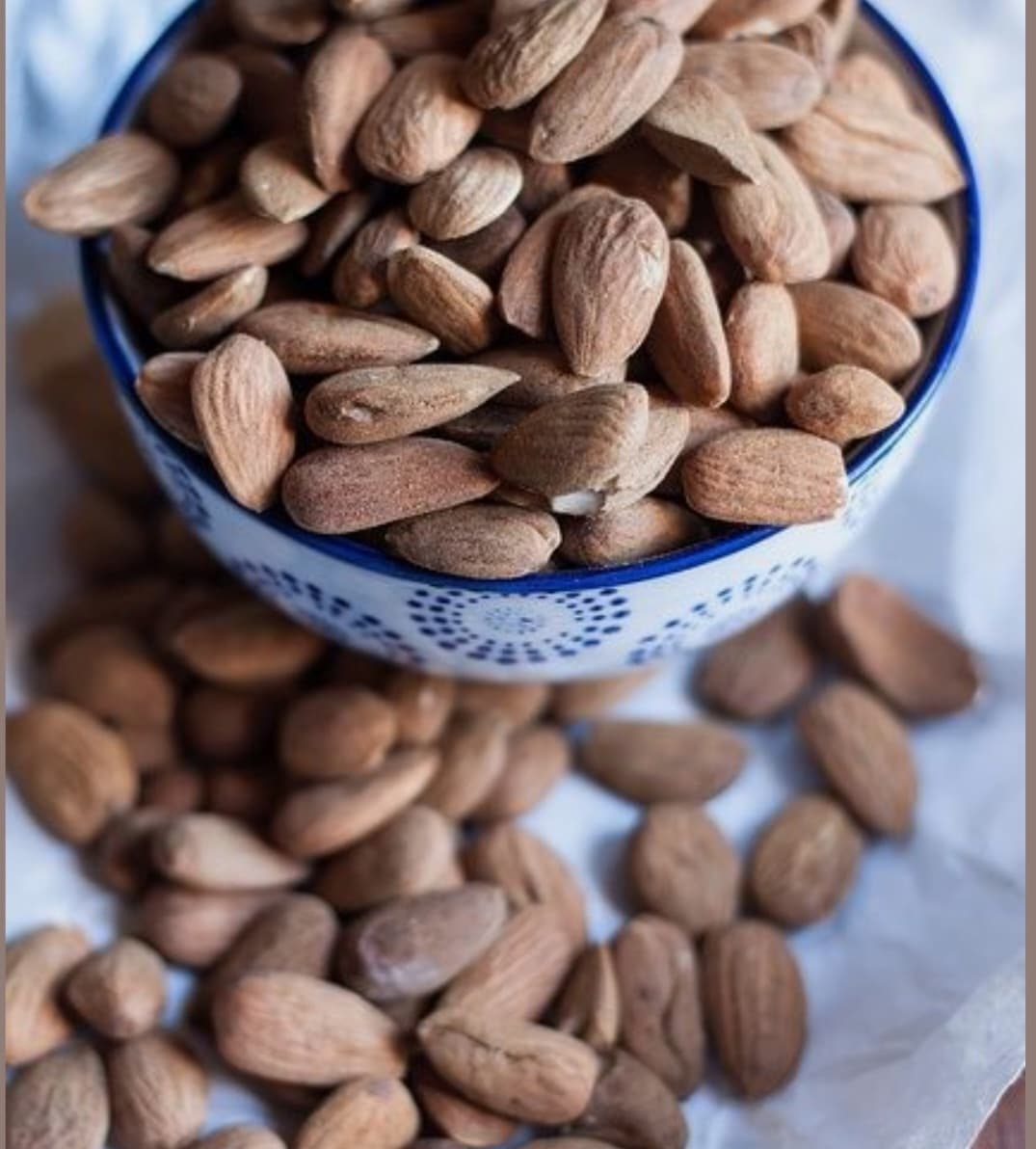 خرید مغز بادام درختی مرغوب و ارگانیک