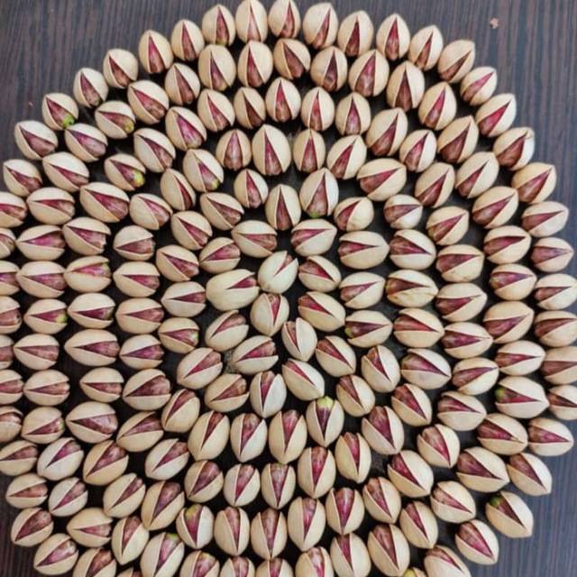 خرید پسته کله قوچی تازه + قیمت روز