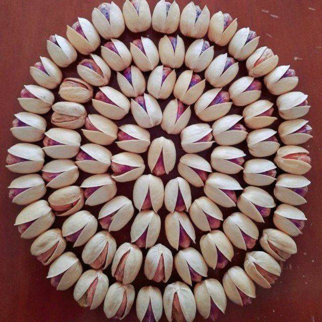 خرید و قیمت پسته کله قوچی دستچین + فروش عمده