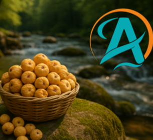 خرید به صرفه انجیر خشک استهبان + شرایط ویژه