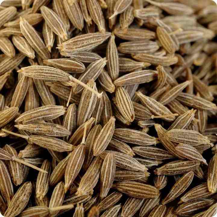 پتانسیل صادراتی زیره ایرانی