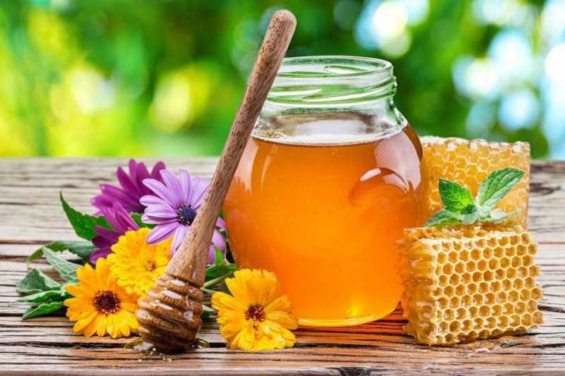 عسل چهل گیاه + فروش عمده