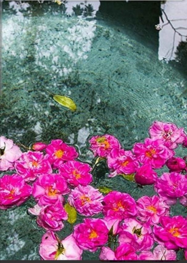 خرید عصاره عرقیجات