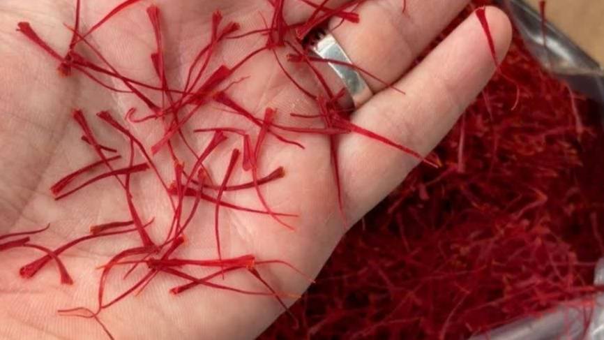 قیمت زعفران اصل قائنات