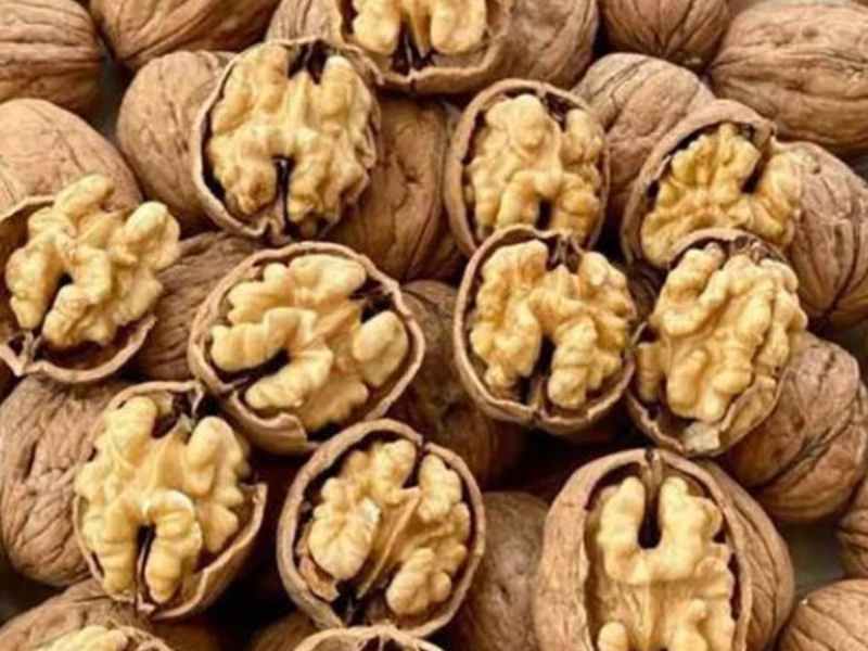 گردو تازه با پوست آذربایجان