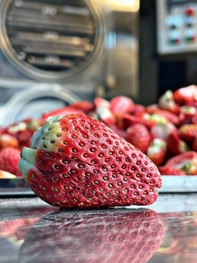 توت فرنگی خشک انجمادی و حرارتی خرید