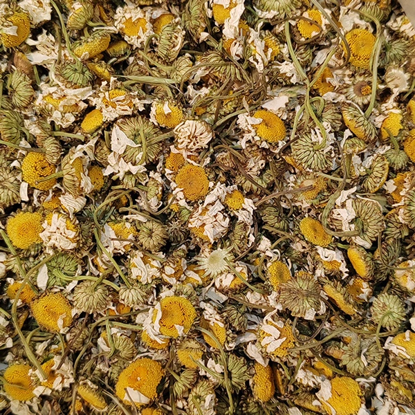 خرید عمده بابونه خشک ممتاز با قیمت ویژه