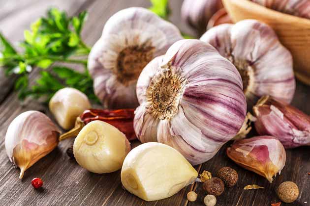 سیر کوثر قیمت